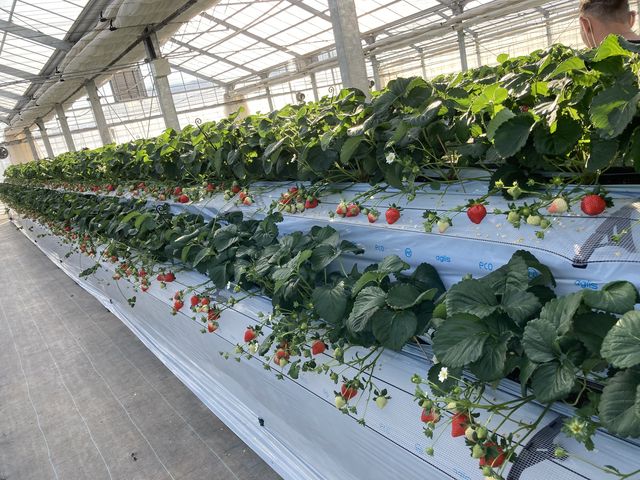 䕂������Ă郌�[��������܂���ł����I�����Y��ł����B_�z���܂�_��