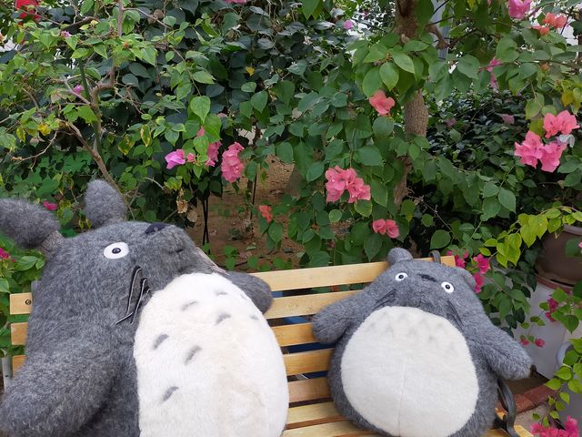 �t�H�g�X�|�b�g_�u�[�Q���n�E�X���