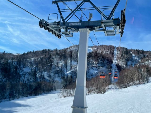 �S���h��������_�D�y���ۃX�L�[��