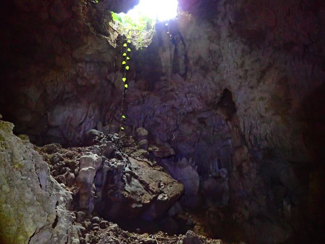 �唗�͂̓��A_���\���R�����u�X