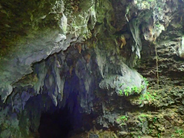 �厩�R�̓��A�̓����_���\���R�����u�X