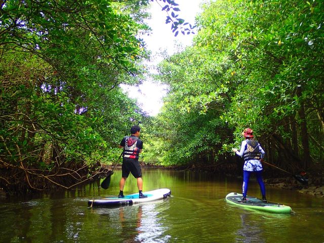 �}���O���[�uSUP_���\���R�����u�X