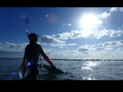 CYNature Guide Double Rainbow lC`[KCh@_uC{[ւ̓eʐ^2