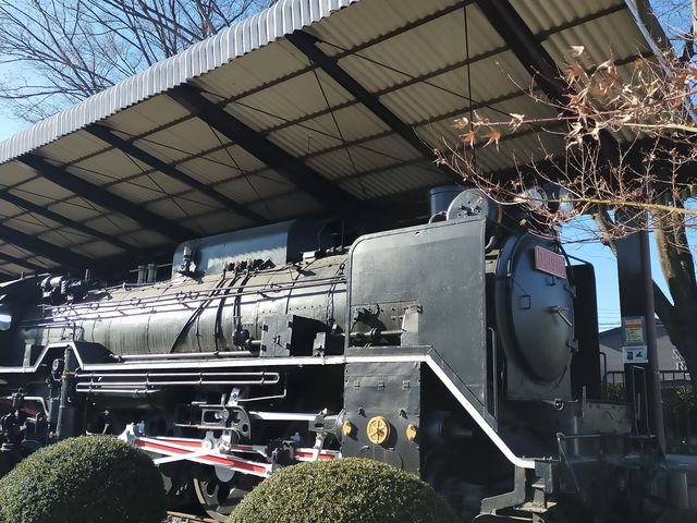 �q�ǂ����������̂c�T�P_�O���s���������Z���^�[