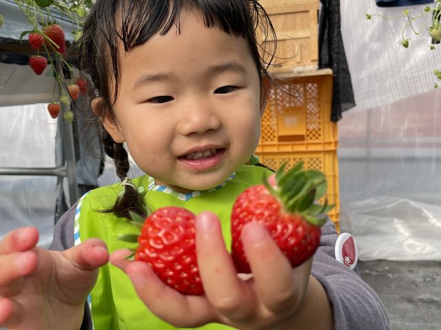 3��ނƂ��@�ǂ���������������ł�_�������C�ӂ̂��������s���F�t�F�����t