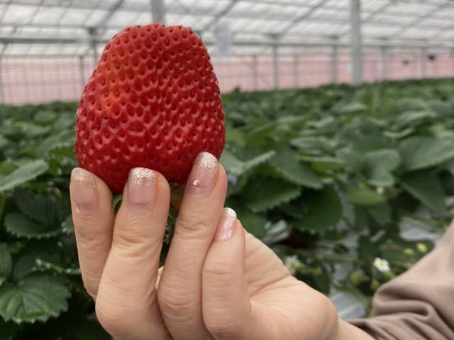 �傫���Ă�������I_䕈ꉏ