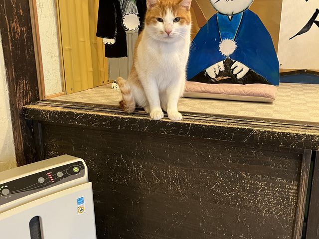 �j���[�t�F�C�X�̃T���^�N�ł��B_���났�Ö��Ɓ@�܂ߔL