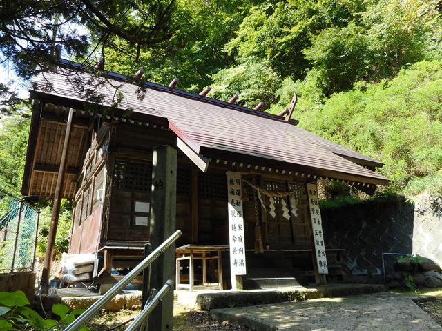 �䉷��@����X�@�䉷��_��_�䉷��