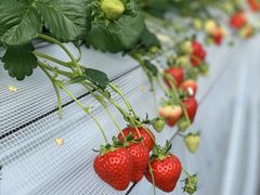 ҂񂿂񂳂ׂ̂̂ւ̓eʐ^1