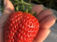 񂳂̂܂ӂ[ށuvւ̓eʐ^1