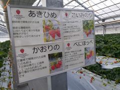 tetsuyan57̗z܂_ւ̓eʐ^1