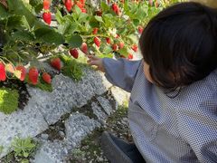 񂳂̂܂C`S_ւ̓eʐ^1