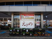 T݂񂳂̓̉w@т̂̓eʐ^3