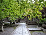 �������̗��؎��̓��e�ʐ^2