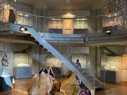 C񂳂̃NX^E~[WA̓eʐ^1