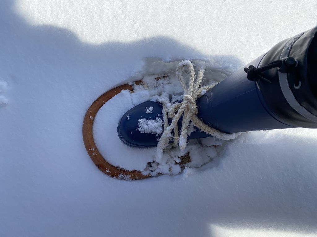 仙北市の観光施設 名所巡りランキングtop10 2ページ目 じゃらんnet