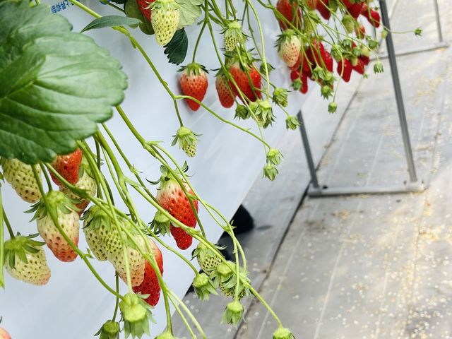 傫Ȃ͂قƂǂƂĂďԂȂ񂠂܂B_m̗