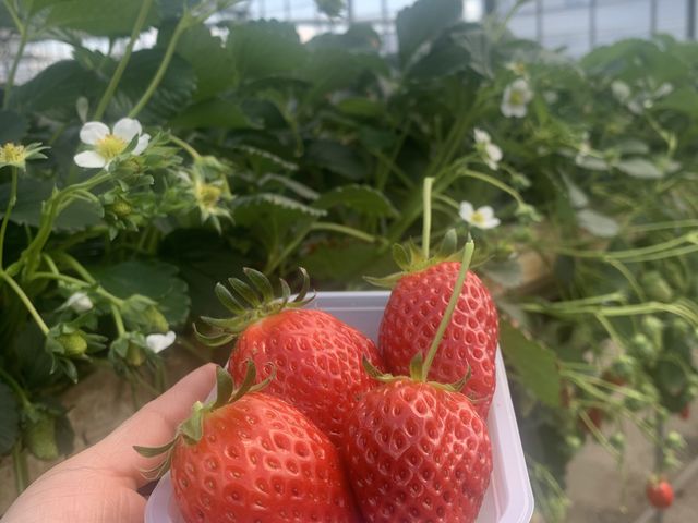 ��܂Ő^���Ԃ����I
���Ԃ�~�c�o�`�ɖ�����܂�_������������