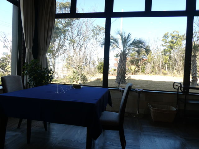 ͋C̗ǂXŁA傫ȑ́Aɗǌ΂̊C܂_ɗǌΖ̔܂郌Xg N}