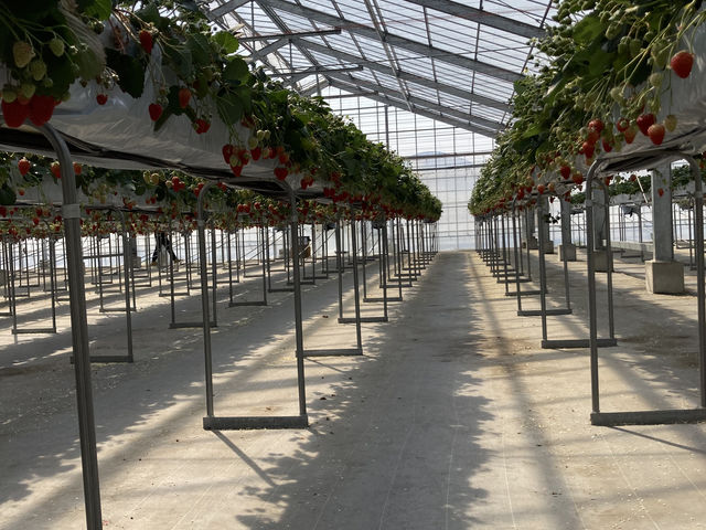 ���₷������_�唩���Y��������