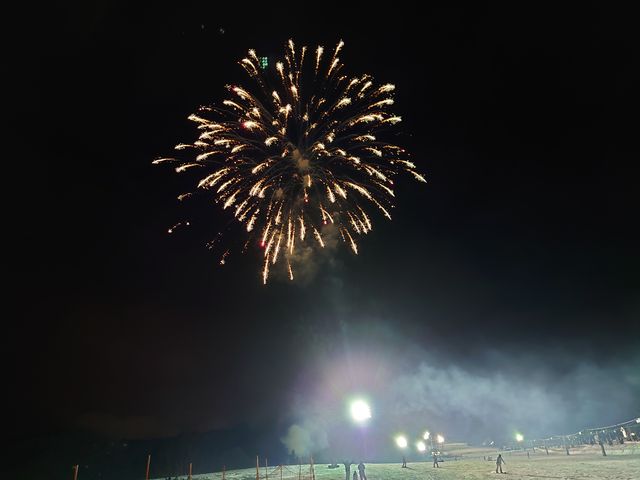 �i�C�^�[�ł̉ԉ΁I_�⌴