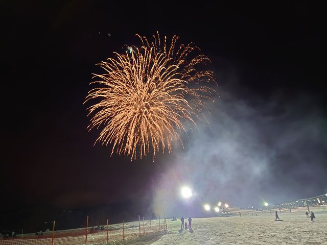 ��R�ŉԉ΂��čō����Y��ł����B_�⌴