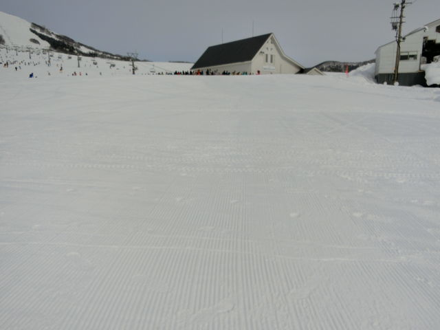 ���S�҂ɂ͂��X�X���ł��܂��I_�⌴