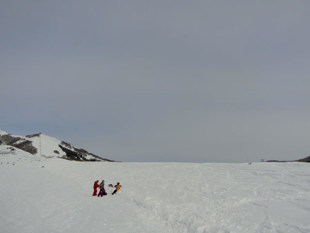 �������郏�C�h�Q�����f�ł�_�⌴