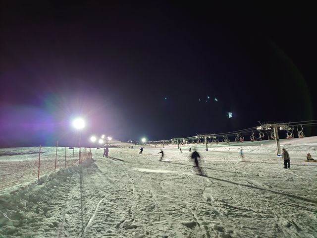 �i�C�^�[�����p���Ă��܂����B_�⌴