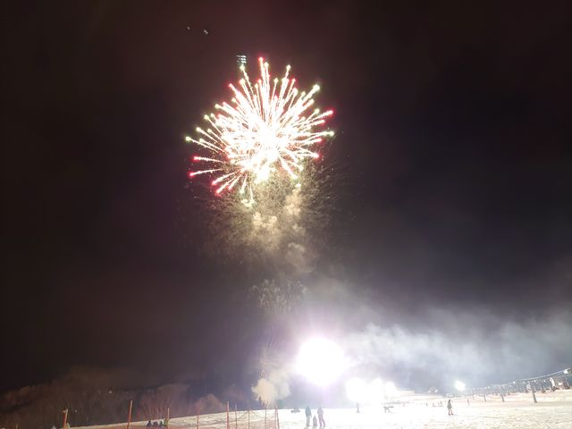 ��C������ł��ĉԉ΂��Y��Ɍ�����I_�⌴