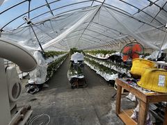 sakanoue2257̐Y_ւ̓eʐ^1