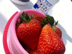 misâ͂Ȃt@[ւ̓eʐ^2