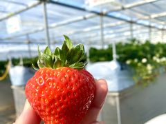 misâ͂Ȃt@[ւ̓eʐ^3