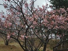 �����ڂ�����̔��q����ւ̓��e�ʐ^1