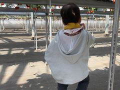 傱̂䂤䂤_ւ̓eʐ^1