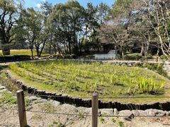 4l̂[񂳂̖{̉Ԃ傤Ԃւ̓eʐ^1