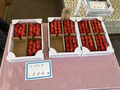 �������炳��̑唩���Y���������ւ̓��e�ʐ^1