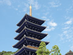 �������̒��R���ւ̓��e�ʐ^1