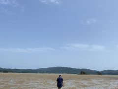 q̉nGRc[lbgւ̓eʐ^2