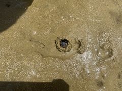 q̉nGRc[lbgւ̓eʐ^3