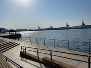 4l̂[񂳂̓{cijS̓eʐ^1