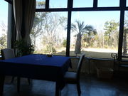 ^bN̈ɗǌΖ̔܂郌Xg N}̓eʐ^1