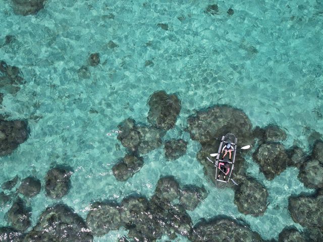 �N���A�J���b�N�Ȃ̂ŁA�����Ă鉺�ɊC�T������čō��ł��I
�{�����Y��ȊC�Ŋ������܂���_Cheerful �{�Ó�