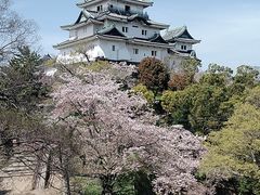 \t񂳂̘a̎Rւ̓eʐ^1