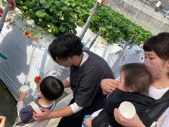 LSEN's Berry Farmւ̓eʐ^2