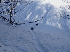 momoH2OAhx`[ւ̓eʐ^2