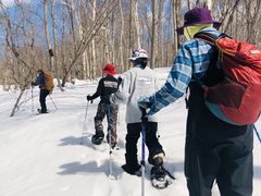 momoH2OAhx`[ւ̓eʐ^3