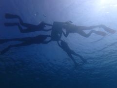 maa̐̓A@Dive@ւ̓eʐ^1