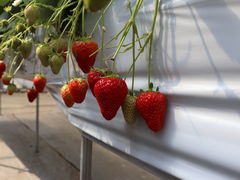 ̂Eu[x[_@x[̋ւ̓eʐ^1