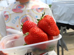 ̂Eu[x[_@x[̋ւ̓eʐ^2